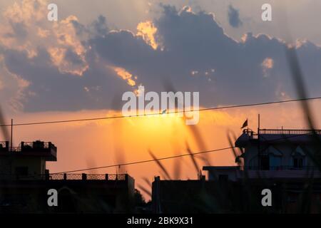 Silhouetted Red whisky bulbul seduto sul filo contro il tramonto. Foto Stock