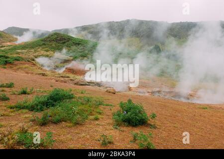 Hveragerði zona geotermica in Islanda Foto Stock