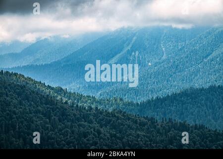 I verdi pendii delle alte montagne sono nascosti tra nuvole e nebbia. Nebbia pesante in montagna in una giornata nuvolosa. Cielo piovoso scuro. Strati di montagne in Th Foto Stock