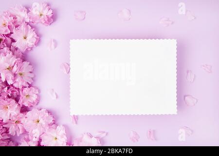 Carta bianca vuota e carino fiori sakura rosa su sfondo rosa, vista dall'alto Foto Stock