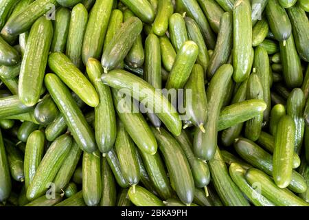 cetrioli sul mercato per uso di base Foto Stock
