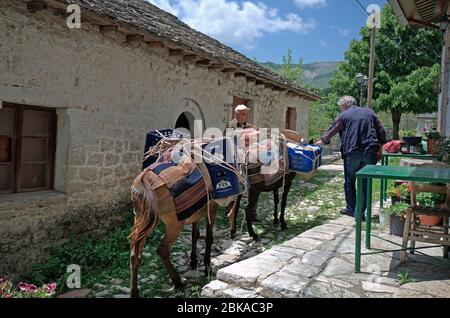 Kalarites, Grecia - 06 giugno 2019: Uomini non identificati con asini nel villaggio di montagna Kalarites, un villaggio di Vlach Aromanian aka nel Parco Nazionale di TZO Foto Stock