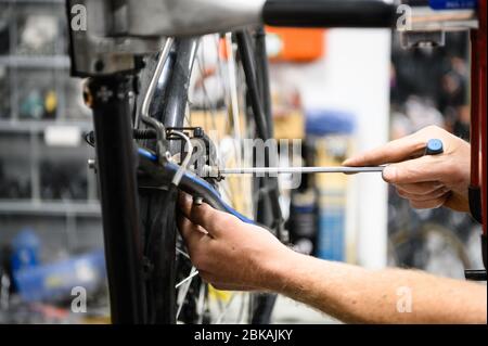 30 aprile 2020, Hessen, Francoforte sul meno: Un dipendente di 'Feine Velos' regola i freni su una bicicletta. Secondo il direttore generale di 'Feine Velos', le vendite sono in forte espansione dalla pandemia di Corona. La crisi di Corona sta attualmente aiutando la bicicletta a diventare ancora più popolare come mezzo di trasporto per la vita quotidiana e il tempo libero. Foto: Andreas Arnold/dpa Foto Stock