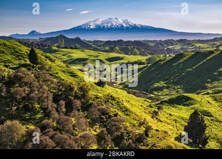 Monte Ruapehu, labirinto mattutino, vista da Pipiriki Raetihi Road, ovest di Raetihi, Manawatu-Wanganui Regione, Isola del Nord, Nuova Zelanda Foto Stock