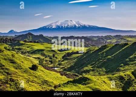 Monte Ruapehu, labirinto mattutino, vista da Pipiriki Raetihi Road, ovest di Raetihi, Manawatu-Wanganui Regione, Isola del Nord, Nuova Zelanda Foto Stock