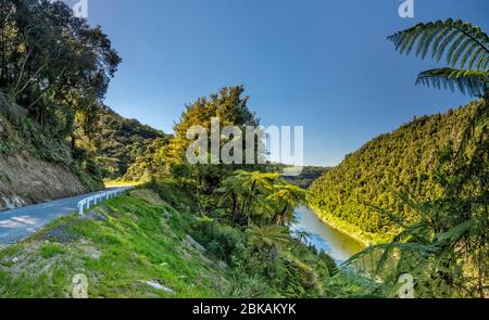 Whanganui River Road sul canyon del fiume Whanganui, a sud di Pipiriki, Manawatu-Wanganui Regione, Isola del Nord, Nuova Zelanda Foto Stock