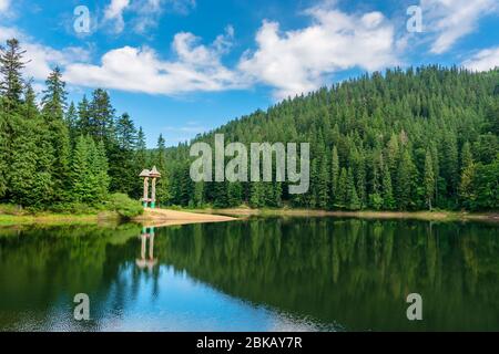 paesaggio del lago tra la foresta in montagna. bellissimo paesaggio alpino in estate. Il parco nazionale di Synevyr è una destinazione popolare dei Carpazi ucraini Foto Stock