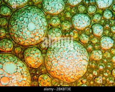 Bolle di olio e sapone in acqua Foto Stock