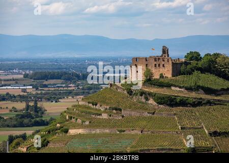 Staufen im Breisgau, Germania. 3 maggio 2020. La gente si trova sulle rovine del castello di Staufen. Il bel tempo primaverile attira le persone all'aperto durante il lungo fine settimana. Credit: Philip von Ditfurth/dpa/Alamy Live News Foto Stock