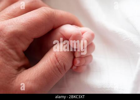 Primo piano della mano di un bambino che tiene il dito del padre su sfondo bianco. Primo piano di bella ragazza addormentata. Bambina neonato addormentata su un bl Foto Stock
