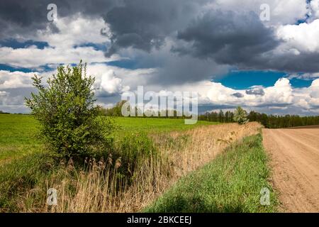 Paesaggio primaverile, Vivid, prati e campi colorati, Distretto dei Laghi Masuriani, Polonia. Foto Stock