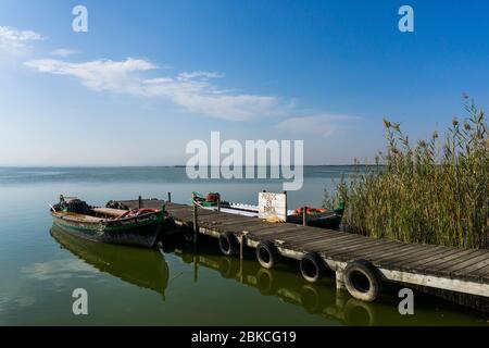 Barche da pesca tradizionali valenciane presso il lago del Parco Nazionale di Albufera, Valencia, Spagna Foto Stock