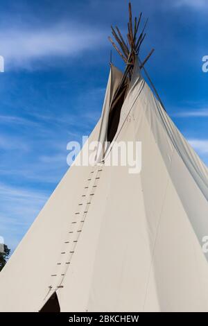 Magnifiche tipi contro il cielo blu estivo, glamping a Wowo's, un campeggio familiare in Sussex Foto Stock