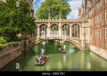 Punting sul fiume Cam Foto Stock