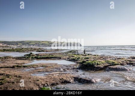 Foresta risalente al 4500 AC rivelato sulla spiaggia di Barth, Ceredigion, Galles, Regno Unito Foto Stock