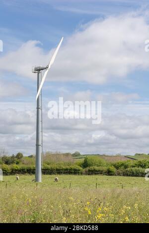 Una turbina eolica di marca Gaia in un campo agricolo ambientato contro il cielo blu dell'inizio dell'estate. Metafora energia rinnovabile, energia eolica, energia alternativa, cielo estivo. Foto Stock