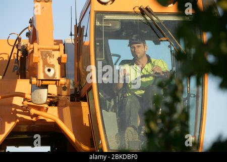 Vendemmiatrice meccanica che raccoglie le uve Merlot in un vigneto australiano. Foto Stock