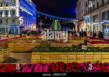 Marsiglia, Francia, 1 gennaio 2020 – Fiori che decorano la Canebiere, il viale principale di Marsiglia durante la stagione natalizia Foto Stock