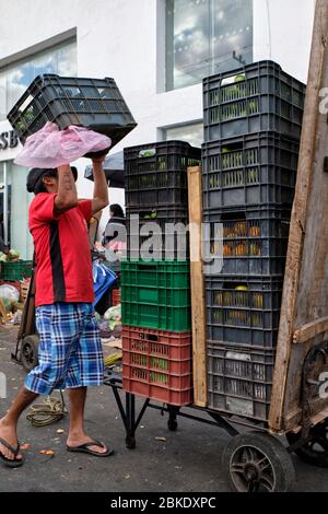 Porter caricando la sua carriola con scatole di frutta e verdura in una bancarella nel mercato comunale di Merida. Foto Stock