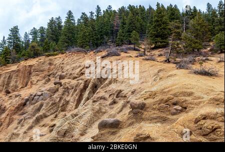 Splendida formazione rocciosa di arenaria con pini sulla cima vicino alle Silver Cascade Falls, Colorado Springs, Colorado Foto Stock