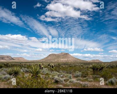 Cirrus e cumuli nuvole in brillante cielo blu deserto Foto Stock