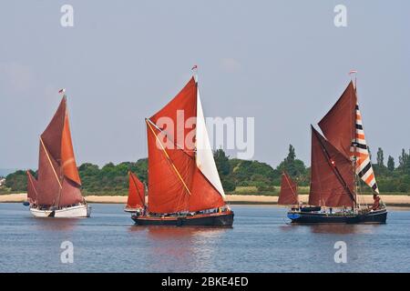 Tre chiatte a vela del Tamigi in vela piena, Promemoria, Repertor e Wyvenhoe Foto Stock