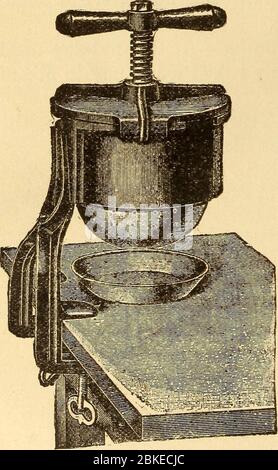 '... Donna in vita, in vita, in vita, in vita, in vita, nelle sue responsabilità e nei suoi doveri in tutti i periodi della vita, guida al mantenimento della sua salute e di quella dei suoi figli (1906) Foto Stock