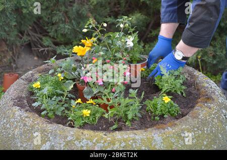Lipsia, Germania. 09 Aprile 2020. In primavera, i residenti piantano vasi di fiori agli ingressi delle loro case. Credit: Vasilyr/dpa-Zentralbild/ZB/dpa/Alamy Live News Foto Stock