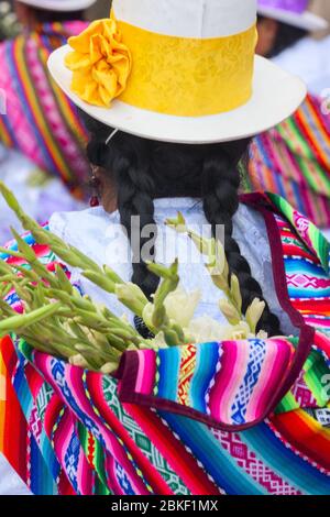 Donna peruviana con le lunghe trecce nere, indossando abiti tradizionali colorati e un cappello di visone marrone che cammina per le strade di Cusco Foto Stock