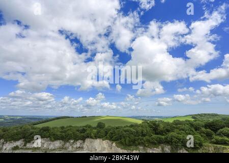 colline ondulate dei bassi a sud con nuvole puffy in una giornata d'estate Foto Stock