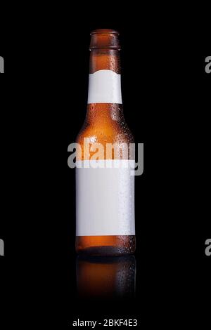 Bottiglia di birra con etichetta vuota su sfondo nero Foto Stock