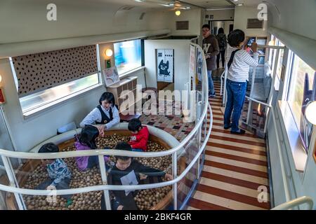 Treno espresso ASO Boy limitato, gestito dalla compagnia ferroviaria Kyushu (JR Kyushu). Corre tra Kumamoto e Miyaji via Aso sulla linea principale Hohi. Foto Stock