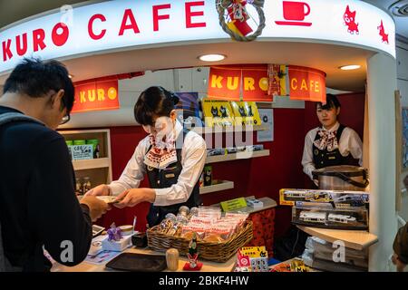 Treno espresso ASO Boy limitato, gestito dalla compagnia ferroviaria Kyushu (JR Kyushu). Corre tra Kumamoto e Miyaji via Aso sulla linea principale Hohi. Foto Stock