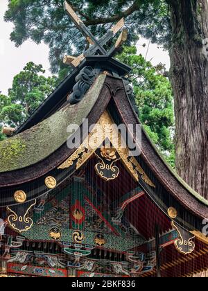 Santuario principale dello Shinto di Kashima Jingu￼, Kashima, Giappone ￼composizione di un santuario dello Shinto: 1. Torii - porta di Shinto 2. Scale in pietra 3. Sandō - l'Approa Foto Stock