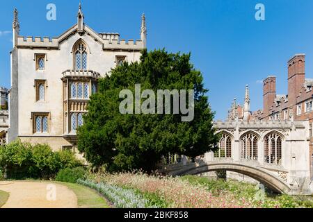 Vista pittoresca del famoso Ponte coperto dei Sospiri, St John's College, giorno di sole Foto Stock