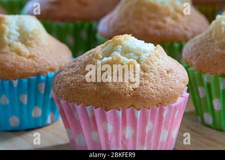 Torte fatte in casa appena sfornate, Sponge fresche dal forno Foto Stock