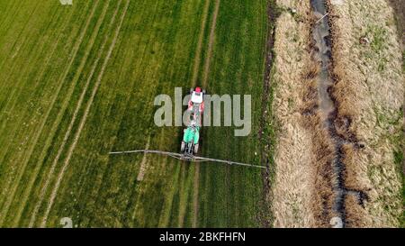 vista aerea del trattore che spruzza le sostanze chimiche sul grande campo verde di grano Foto Stock