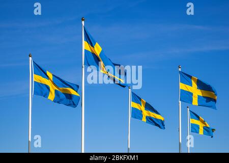 Bandiere svedesi nella giornata nazionale contro un cielo blu Foto Stock