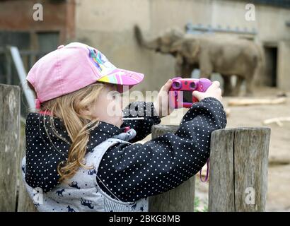 Krefeld, Germania. 04 maggio 2020. Mila, di sei anni, scatta foto di elefanti allo zoo di Krefeld con la sua fotocamera. A partire da oggi, musei, scuole di musica e zoo sono nuovamente aperti. Credit: Roland Weihrauch/dpa/Alamy Live News Foto Stock