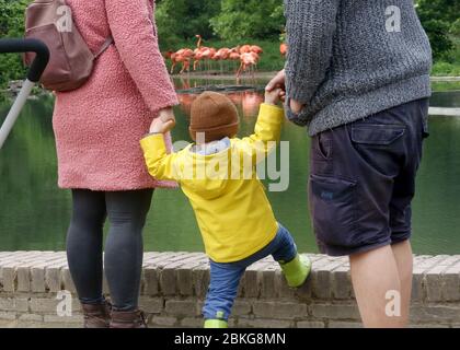 Krefeld, Germania. 04 maggio 2020. Il due anni Oskar guarda gli elefanti nello zoo di Krefeld, i fenicotteri. A partire da oggi, musei, scuole di musica e zoo sono nuovamente aperti. Credit: Roland Weihrauch/dpa/Alamy Live News Foto Stock