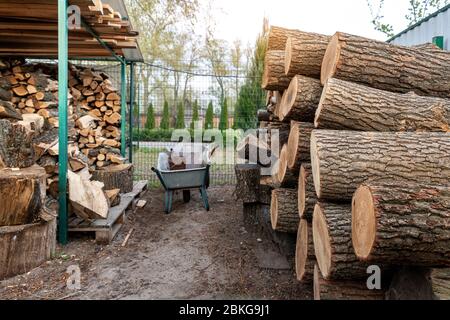 Deposito legna da ardere tagliata sotto capanna e tronchi di quercia di legno preparato per tritare e tagliare a casa cortile. Deposito in legno presso la casa yard.Timber Foto Stock