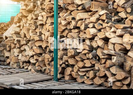 Deposito legna da ardere tagliata sotto capanna e tronchi di quercia di legno preparato per tritare e tagliare a casa cortile. Deposito in legno presso la casa yard.Timber Foto Stock