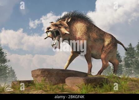 L'Entelodon, o maiale dell'inferno, è un maiale preistorico estinto o un mammifero simile a cinghiale che visse durante l'Eocene e il Miocene, raffigurato in un paesaggio. Re 3D Foto Stock