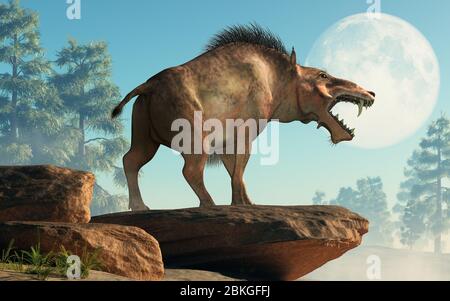 L'Entelodon, o maiale dell'inferno, è un maiale preistorico estinto o un mammifero simile a cinghiale che visse durante l'Eocene e il Miocene, raffigurato in un paesaggio. Re 3D Foto Stock