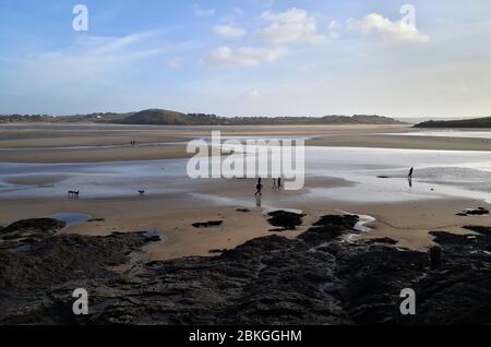 Hawker's Cove in bassa marea, vicino a Padstow - Cornovaglia, Regno Unito Foto Stock