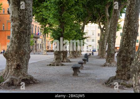 Piazza Napoleone Piazza Napoleone Piazza Napoleone a Lucca, Toscana, Italia Foto Stock