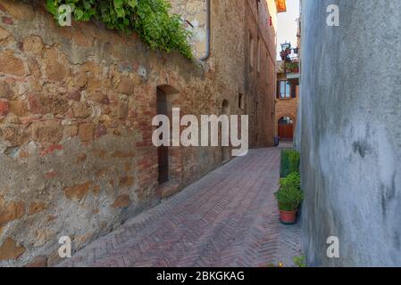 Bella strada stretta con luce del sole e fiori nel piccolo magico e antico borgo di Pienza, Val D'Orcia Toscana, Italia Foto Stock