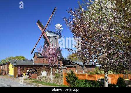 Riepe Burger Mill Boreas a Kirchwerder, quattro e paludi, Amburgo, Germania, Europa / Riepenburger Mühle Boreas a Kirchwerder, Vier- und Marschl Foto Stock