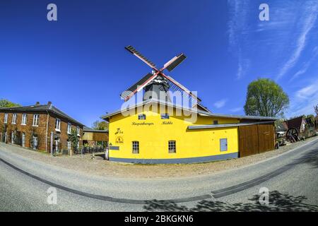 Riepe Burger Mill Boreas a Kirchwerder, quattro e paludi, Amburgo, Germania, Europa / Riepenburger Mühle Boreas a Kirchwerder, Vier- und Marschl Foto Stock