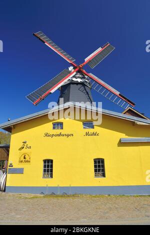 Riepe Burger Mill Boreas a Kirchwerder, quattro e paludi, Amburgo, Germania, Europa / Riepenburger Mühle Boreas a Kirchwerder, Vier- und Marschl Foto Stock